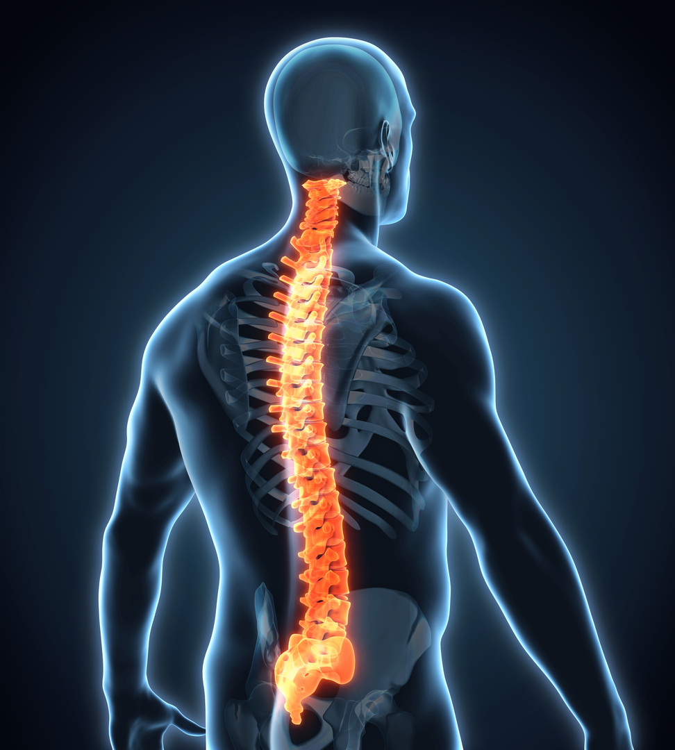 Recognizing Thoracic Spine Myelopathy - Texas Back Institute